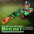 Cricket Batter Challenge Game